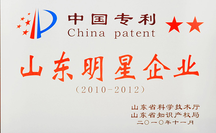 中國專利山東明星企業